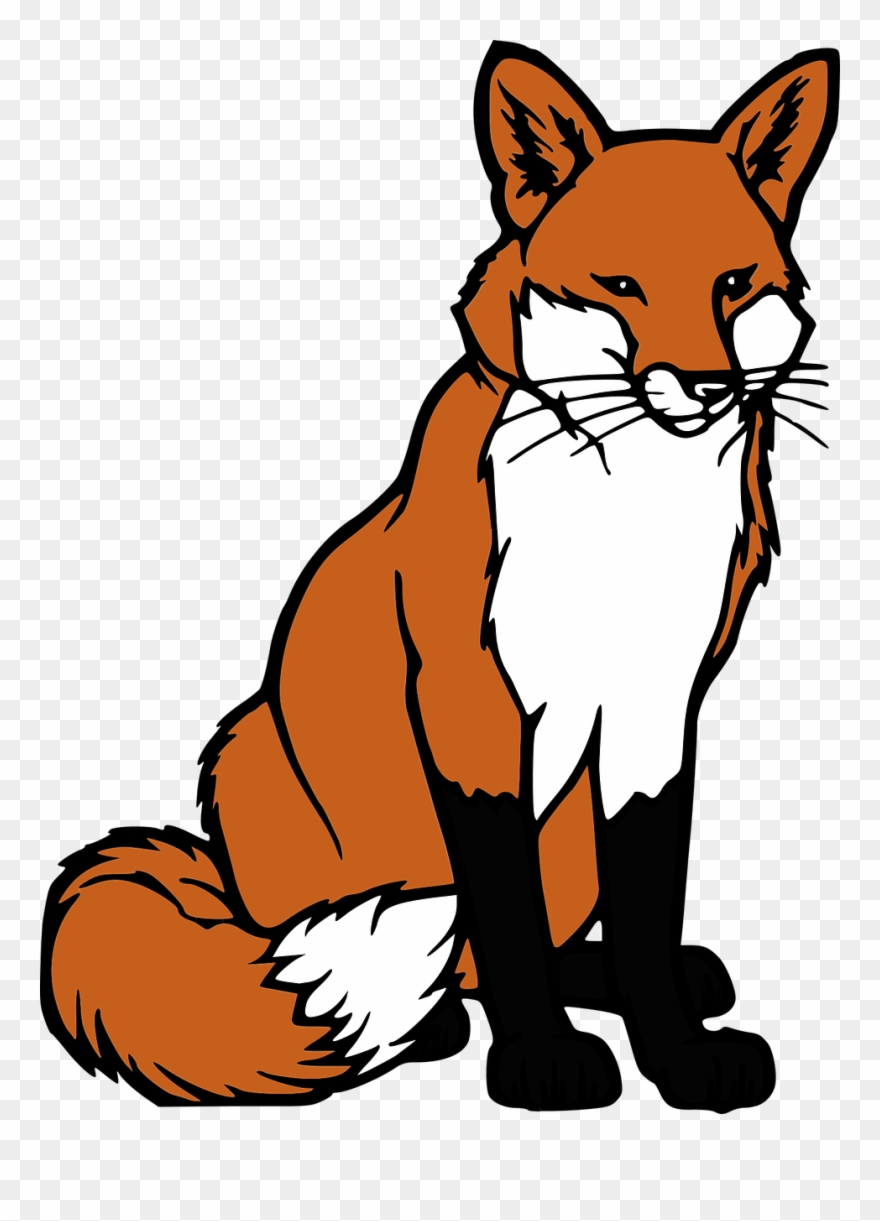Png Fuchs Kostenlos Pluspng - Fox Coloring Pages Clipart