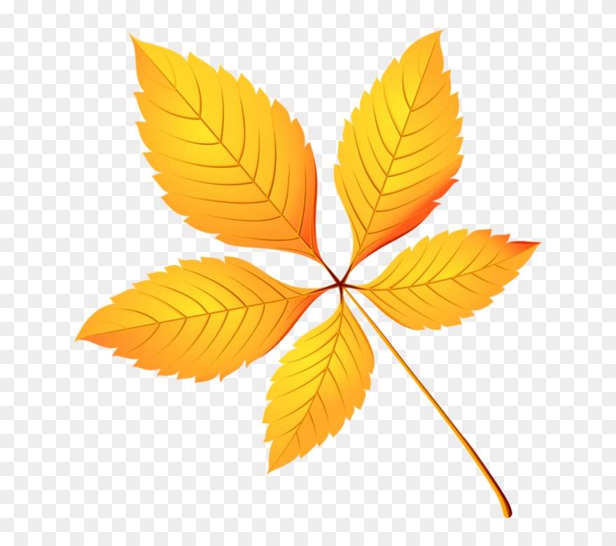 0 136f94 6e753e92 Or - Autumn Chestnut Leaf Clipart - Png Download