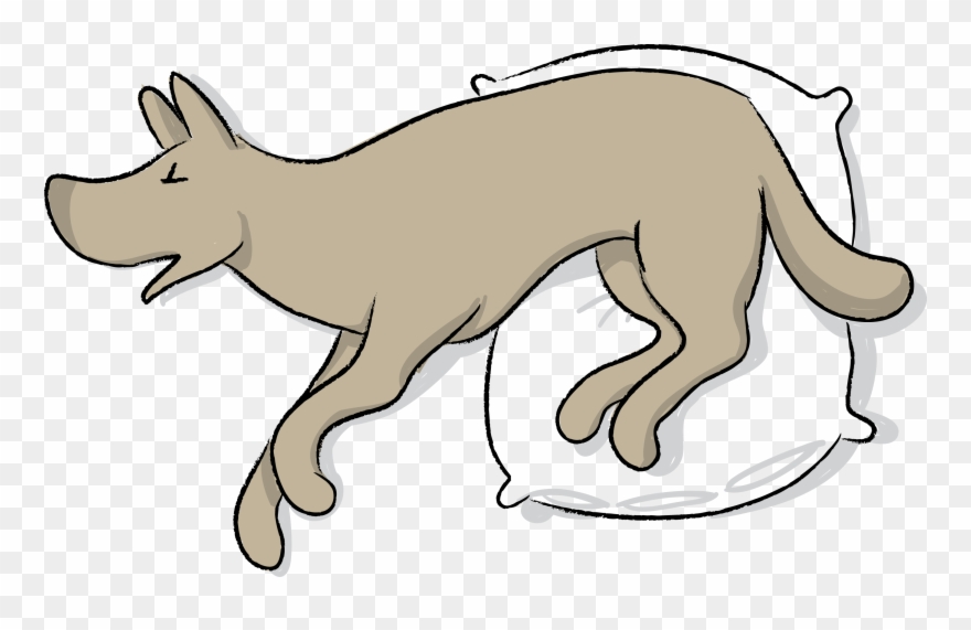 Die Stabile Seitenlage Kann Ihrem Hund Das Leben Retten - Stabile Seitenlage Hund Clipart