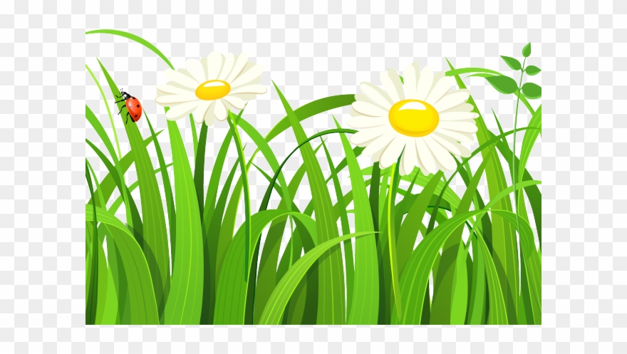 Free Grass Clipart - Grass Vector Free Png Transparent Png