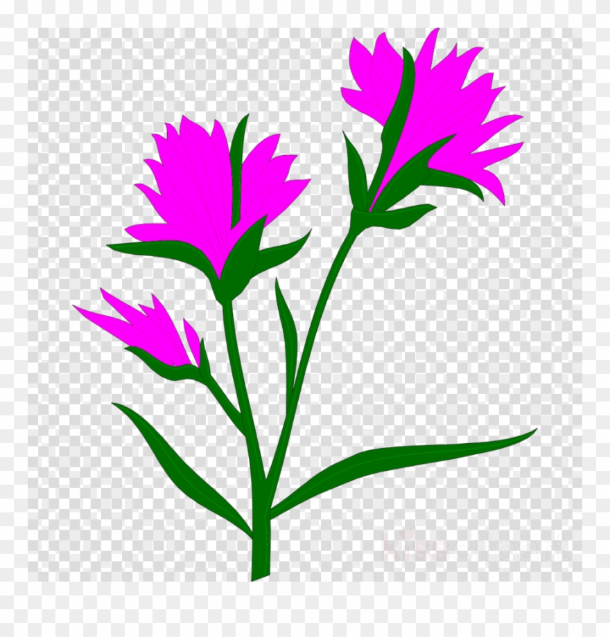 Cross Pollination Clipart Cross-pollination Pollination - Geitonogamy - Png Download