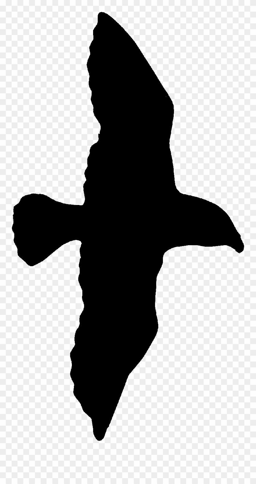 Pix For Seagull On Post Clip Art - Seagull Clip Art - Png Download