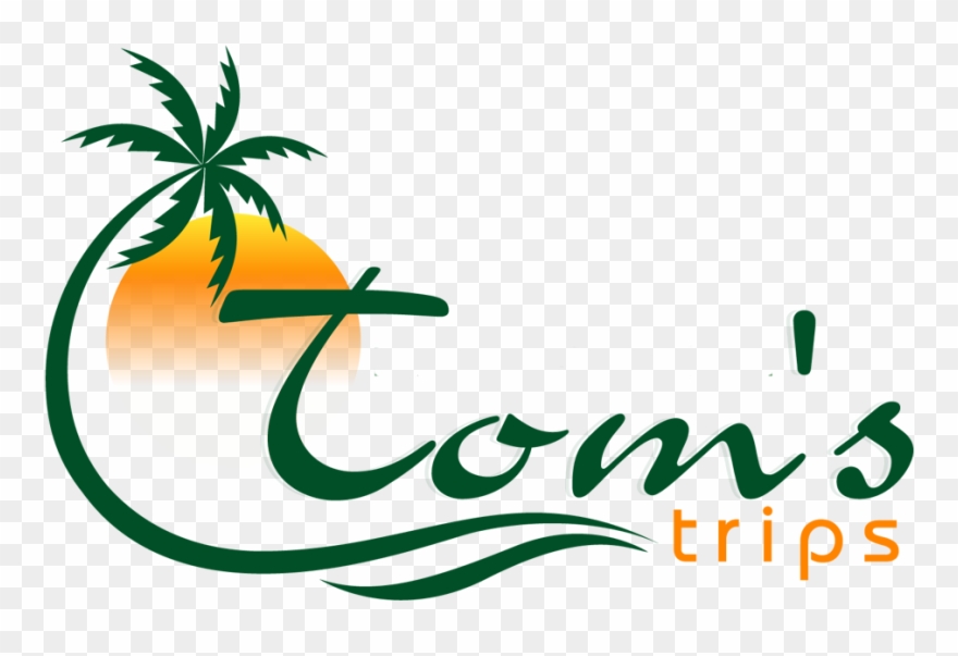 What Is The Ms - Logo Clipart