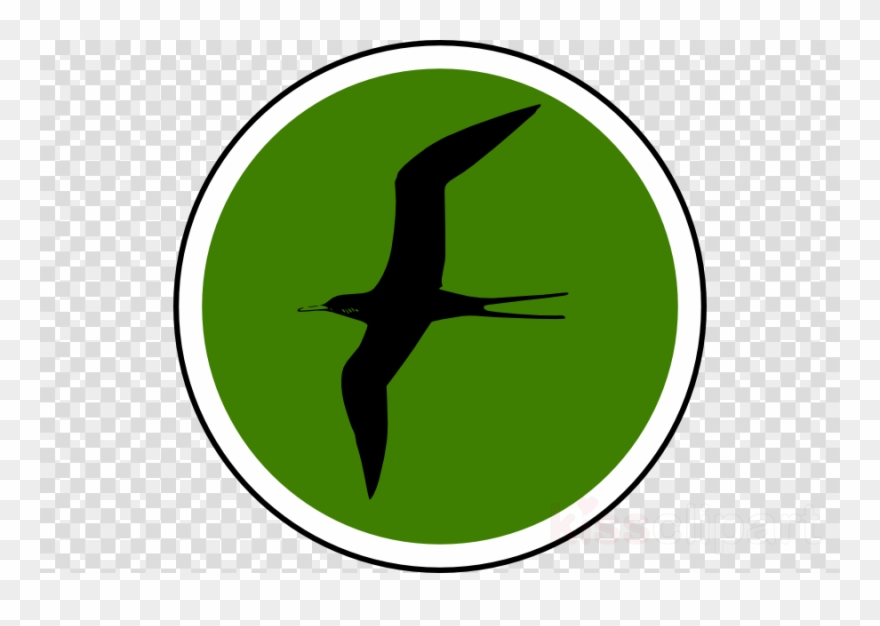 Bird Nerd Birding T-shirt Flask Clipart Beak Bird Clip - Turma Galinha Pintadinha Png Transparent Png