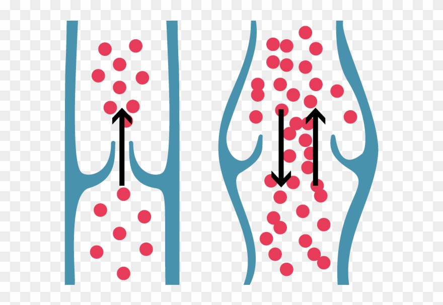 Healthy Vein Valve & Correct Blood Flow Shown On The Valves Veins Png