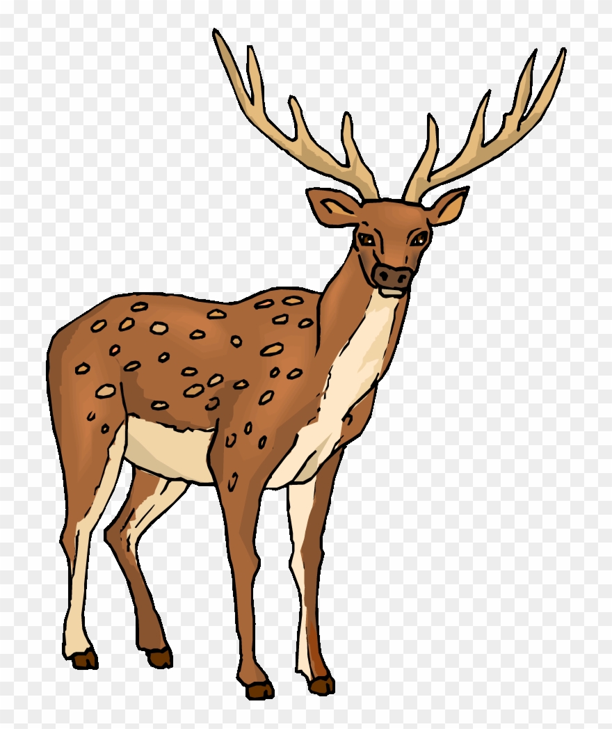 Clipart Male Deer Clipart - Imagenes De Ciervo Animadas - Png Download