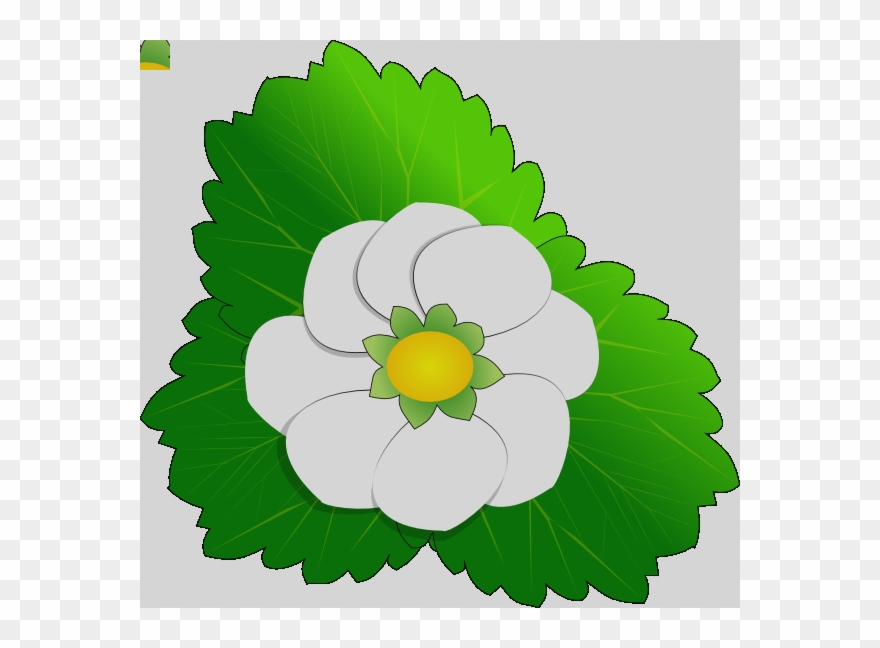 Flower Clip Art - Png Download