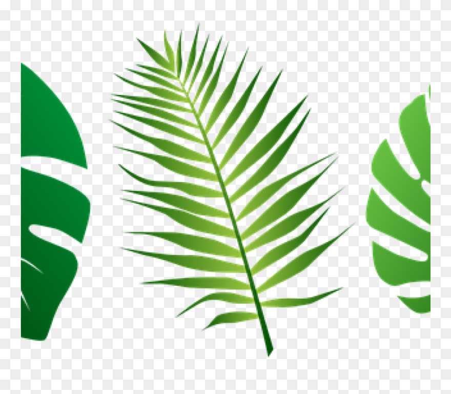 Jungle Leaves Clipart 19 Jungle Leaf Svg Black And - Jungle Leaves Clipart Png Transparent Png