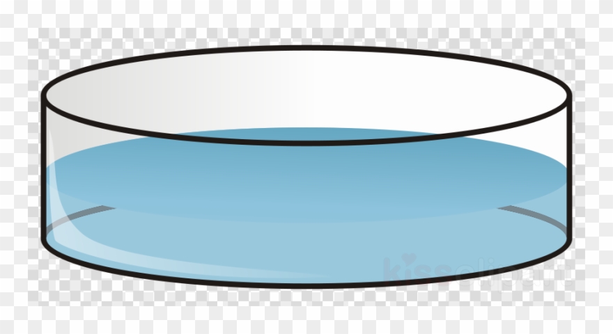 Petri Dish Png Clipart Petri Dishes Cell Culture Clip - Petri Dish Clip Art Transparent Png