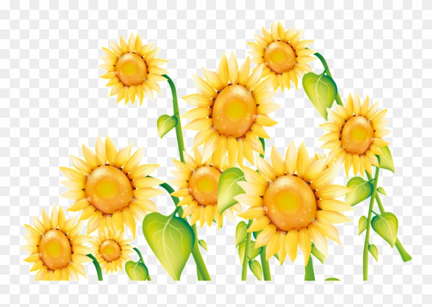 Celebrate Children's Day Flower - 向日葵 素材 Clipart