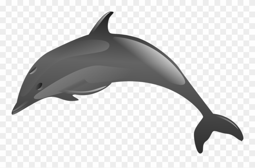 Dolphin Cliparts 6, Buy Clip Art - Animales Acuaticos Delfin - Png Download