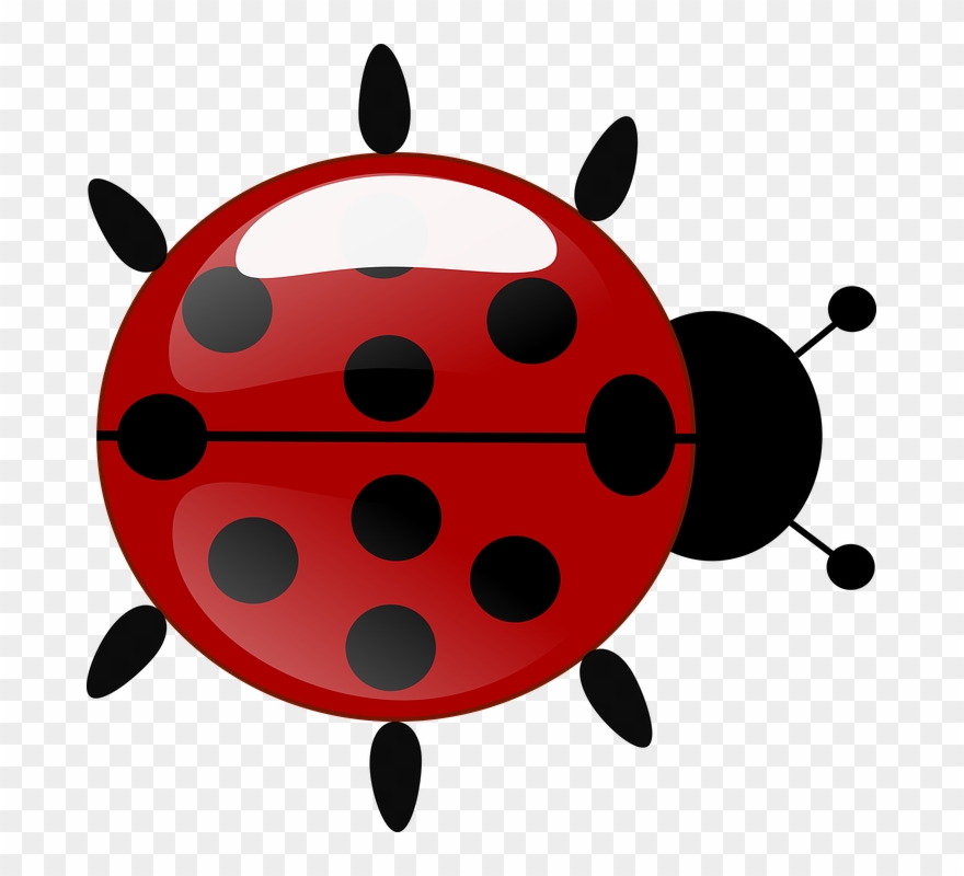 Cute Ladybug Clipart 13, Buy Clip Art - Joaninha Da Ladybug Em Png Transparent Png