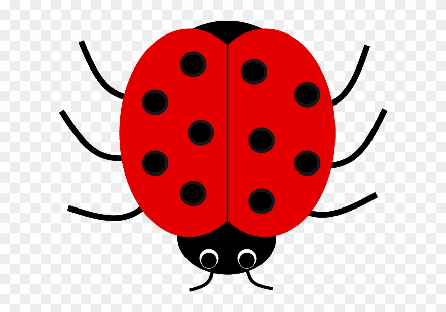 Cute Ladybug Clip Art Free Cliparts - Clip Art Of Ladybug - Png Download