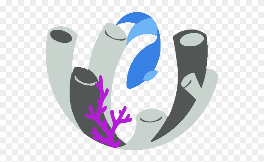 Healthy Aquatics Marine Institute - Healthy Aquatics Marine Institute Of Florida Clipart