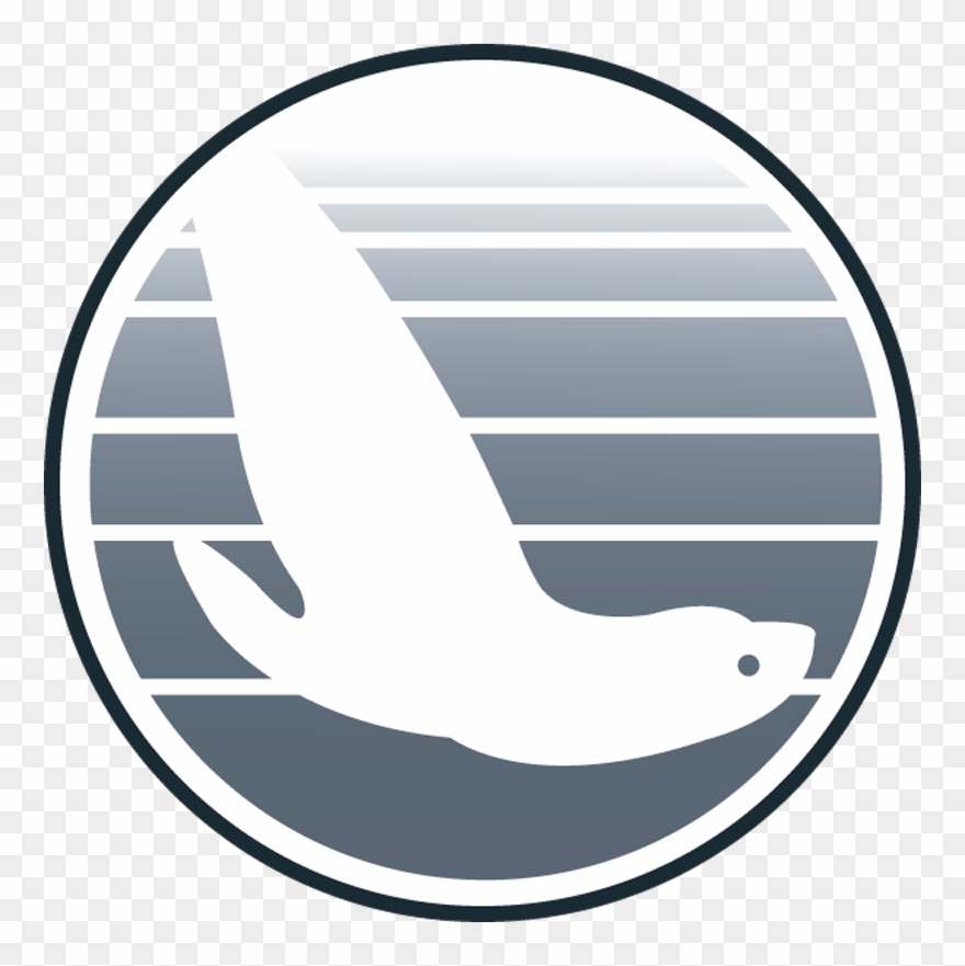 Testg - Steller Sea Lion Clipart