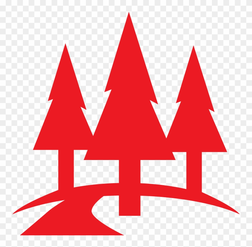 Our Tested, Proven And Nationally Recognized Programs - Bosque Icono Png Clipart