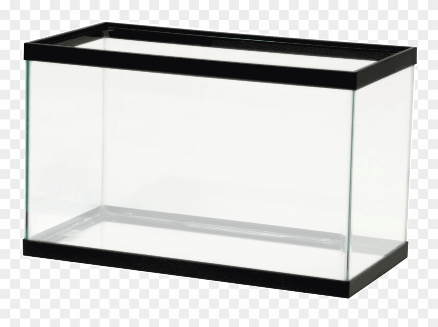 Tank Clipart Rectangular Fish Tank - 10 Gallon Fish Tank - Png Download