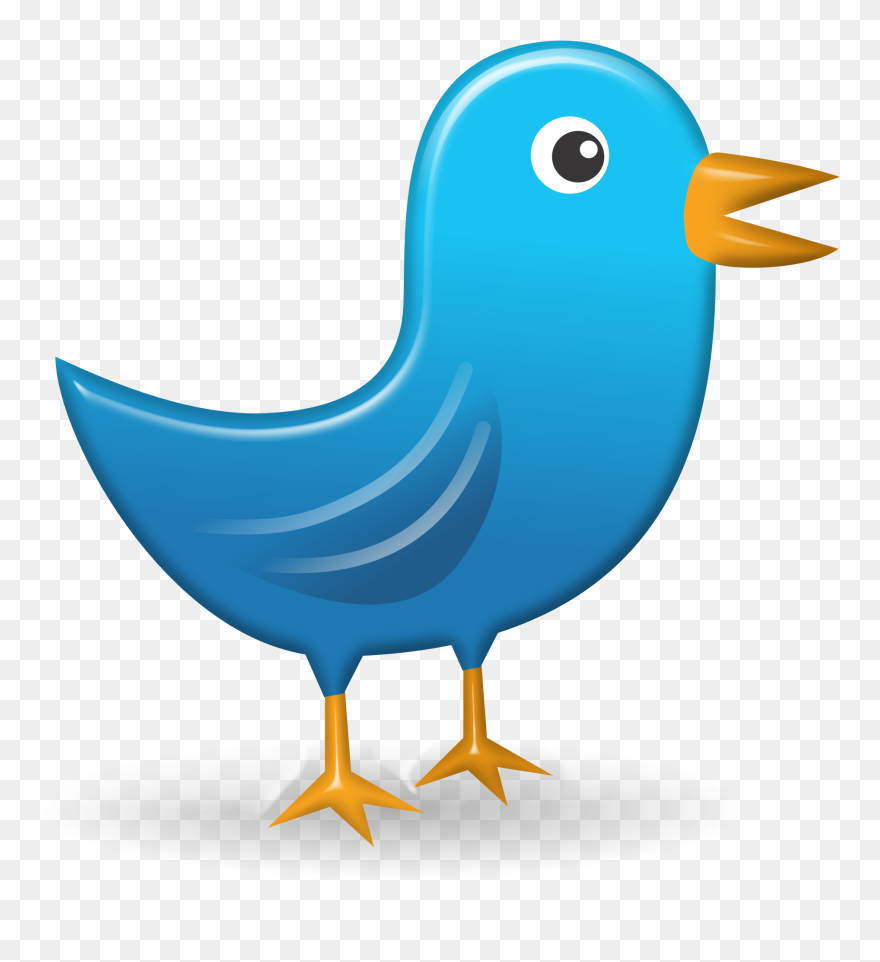 Cartoon Birds Pictures 16, Buy Clip Art - Twitter - Png Download