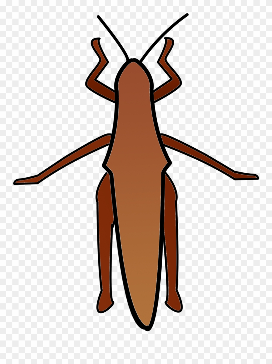 Picture Gallery Of The Simple Thanksgiving Cockroach - Clip Art - Png Download