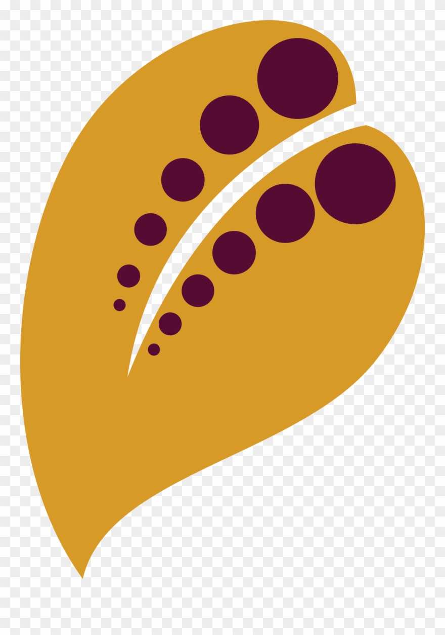 Png Coloured - Circle Clipart