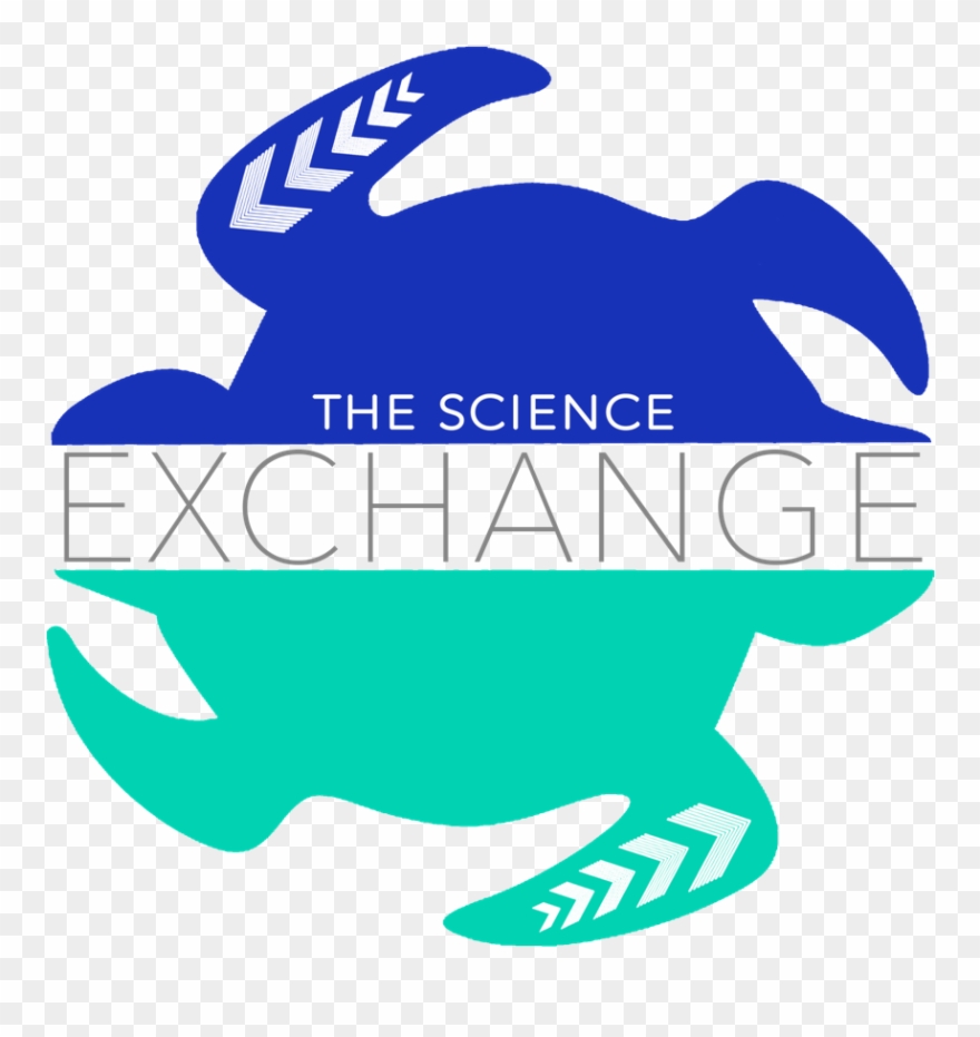 Logo - Science Exchange Sea Turtle Internships Clipart