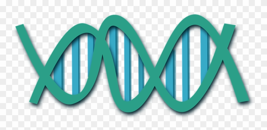 Science Word Clipart - Transparent Gene Clip Art - Png Download