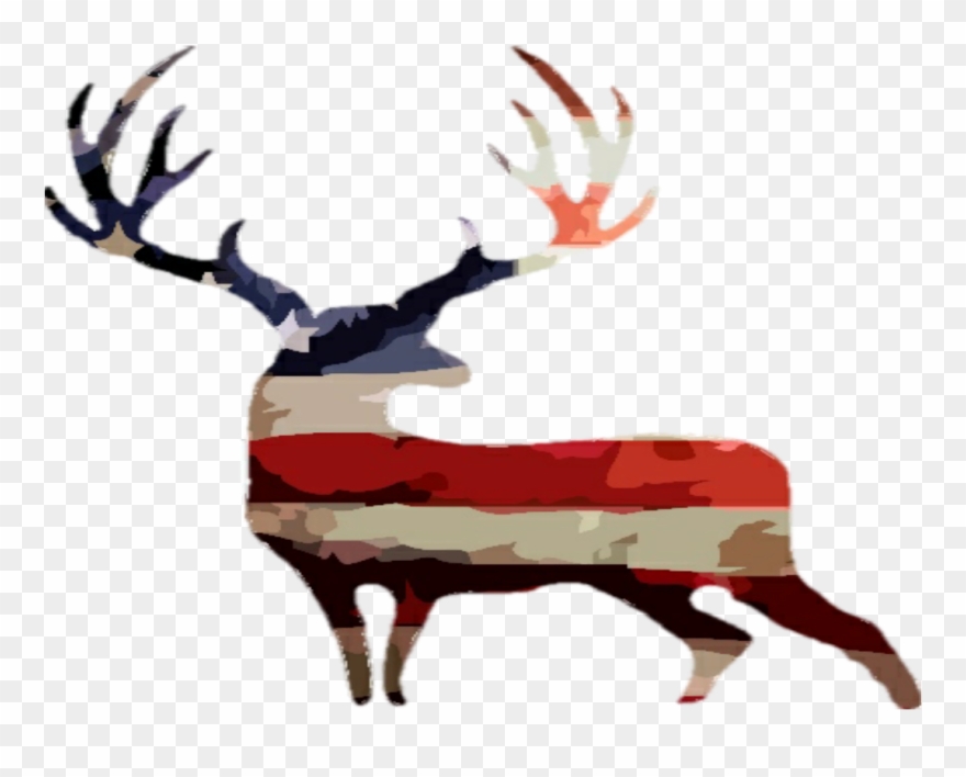 Lawn Mower Lawn Care Service Clipart Clipart Kid - Clip Art - Png Download