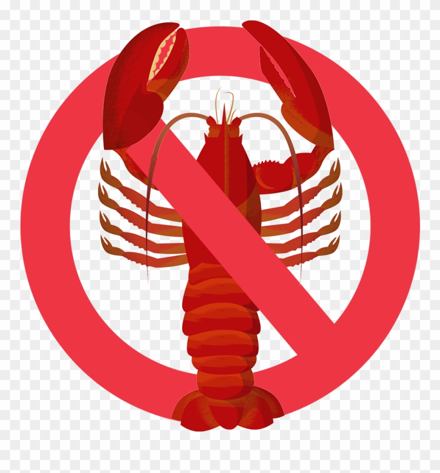 Be Slaughtered According To Specific Practices - Pork And Shellfish Jewish Clipart