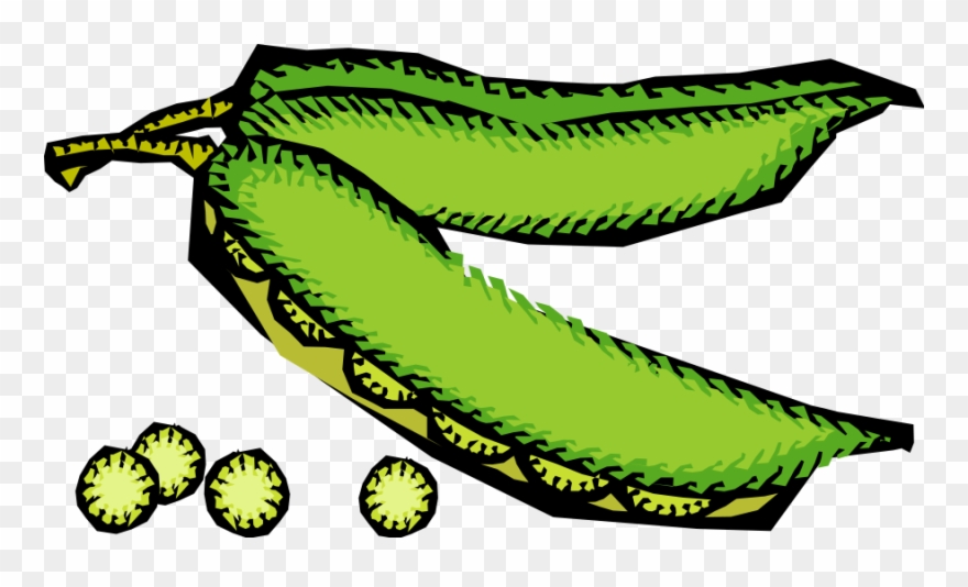 This Free Clip Arts Design Of Vegetables 48 - Png Download