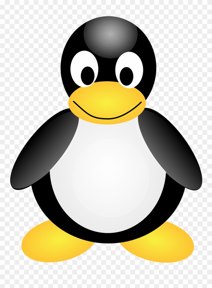 Linux Penguin Tux Mascot Animal Png Image - Tučnák Png Clipart