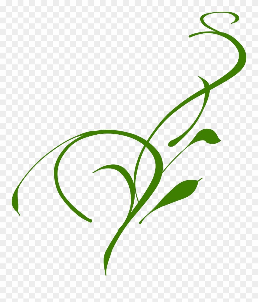 Vine Clip Art - Png Download