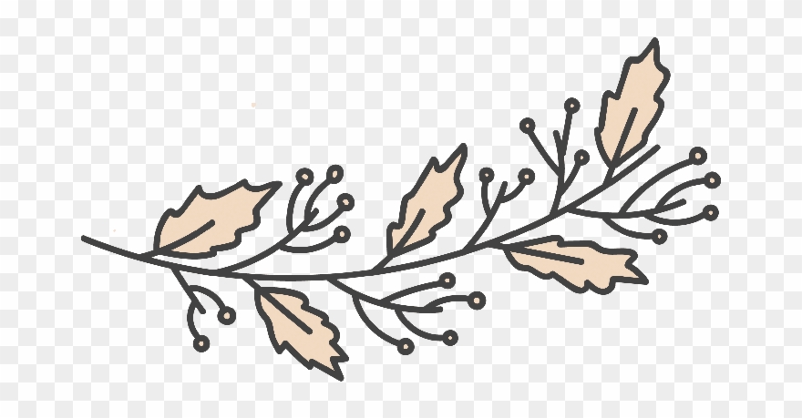 Decorative Divider Branch Clipart