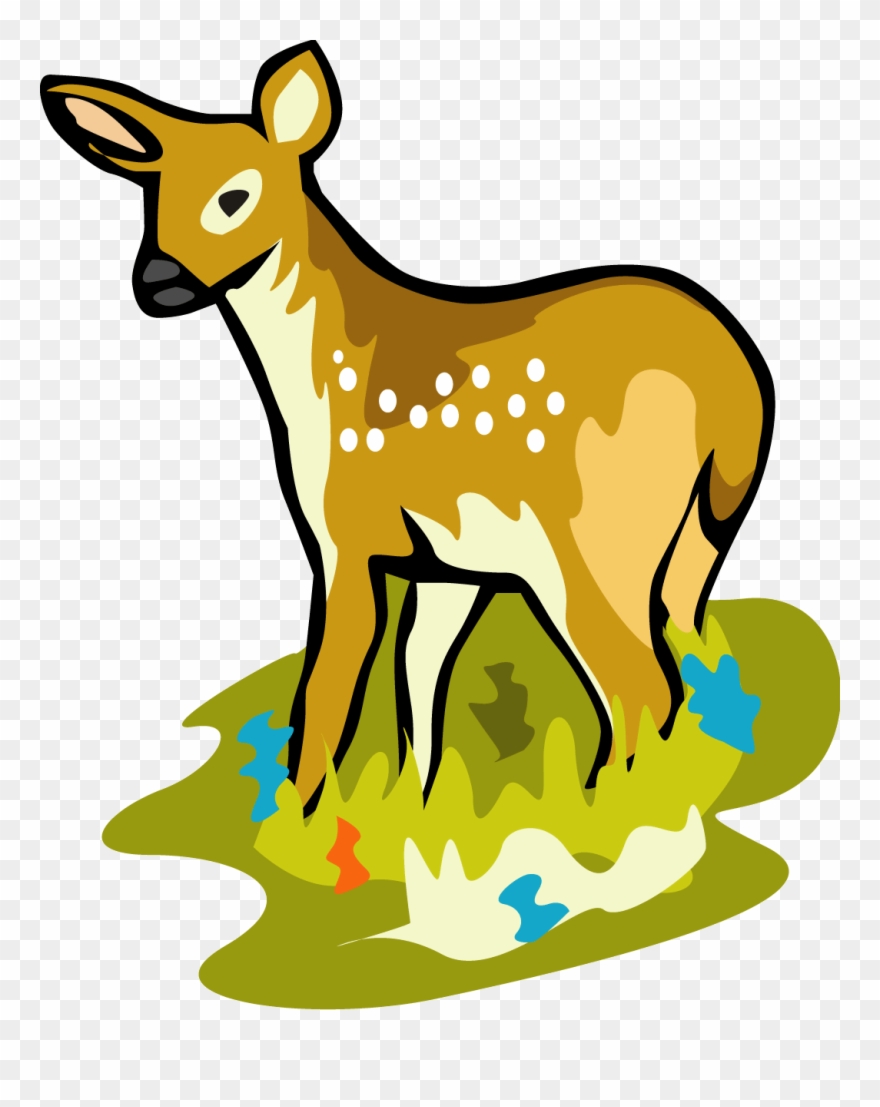 Clipart Info - White Tailed Deer Cartoon - Png Download