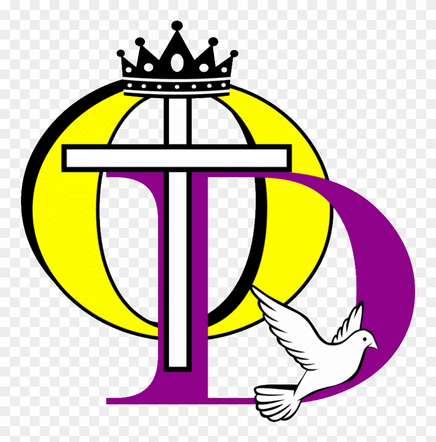 History Clipart Church History - White Dove Shower Curtain - Png Download