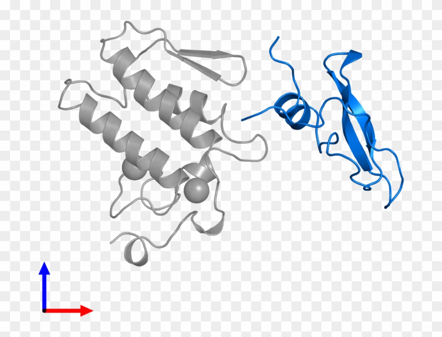 <div Class='caption-body'>pdb Entry 1bun Contains 1 - Graphic Design Clipart
