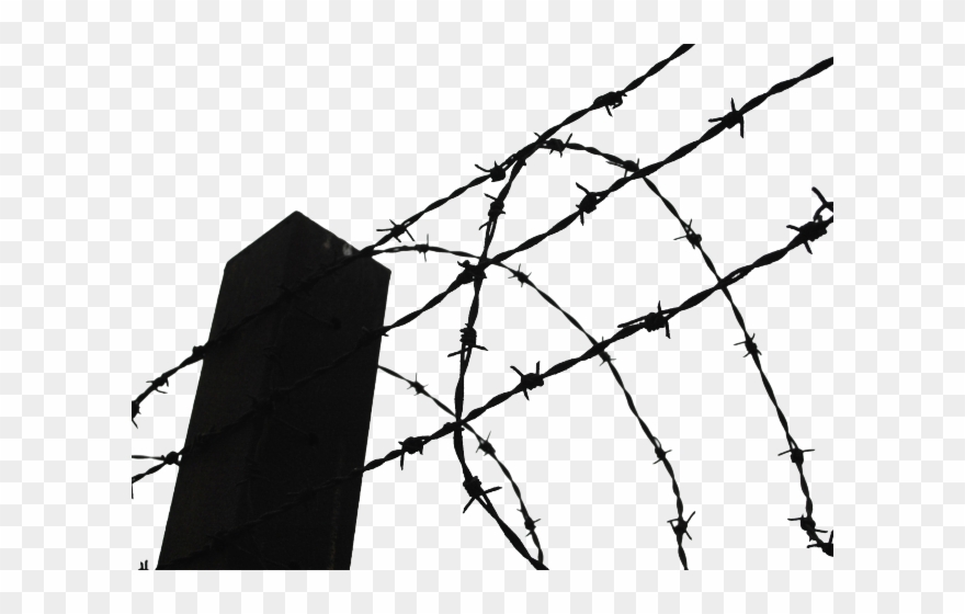 Barbed Wire Clipart Clip Art - Transparent Background Barbed Wire Clipart - Png Download