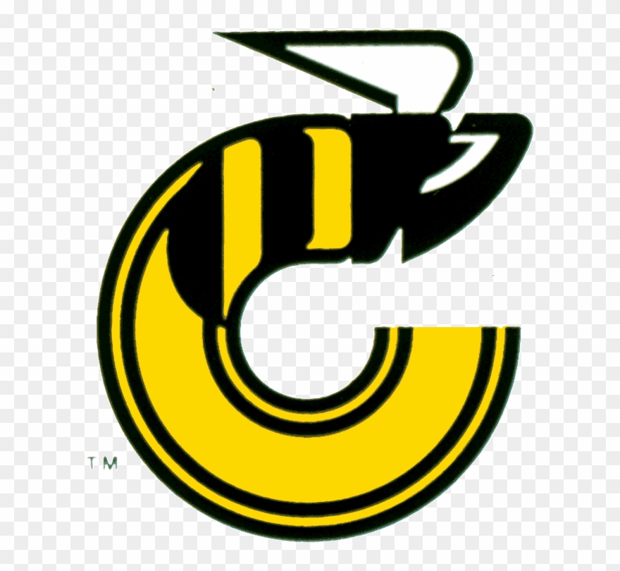 Cincinnati Stingers Partial Logo - Logos Wha Clipart