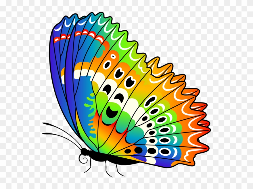Colorful Butterfly Png Clip Art Image - Clipart Butterfly Red Transparent Png