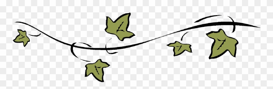 Alpha Phi Suny Cortland - Alpha Phi Ivy Clipart