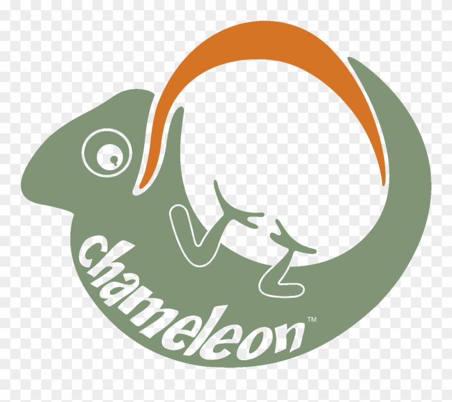 Chameleon Hammock Complete-0 - Hammock Clipart