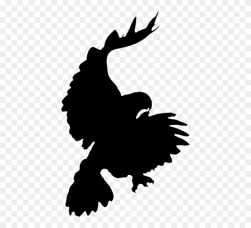 Owl Silhouette Cliparts 19, Buy Clip Art - 2 Hawk Silhouette - Png Download