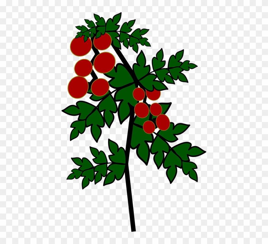 Flower Bush Cliparts 25, Buy Clip Art - Gambar Pohon Tomat Kartun - Png Download