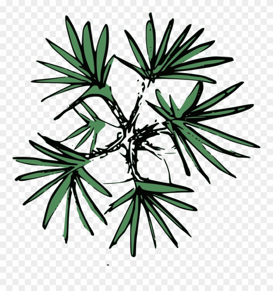 The Desire To Create Computer Aided Design Plans That - Design Clipart