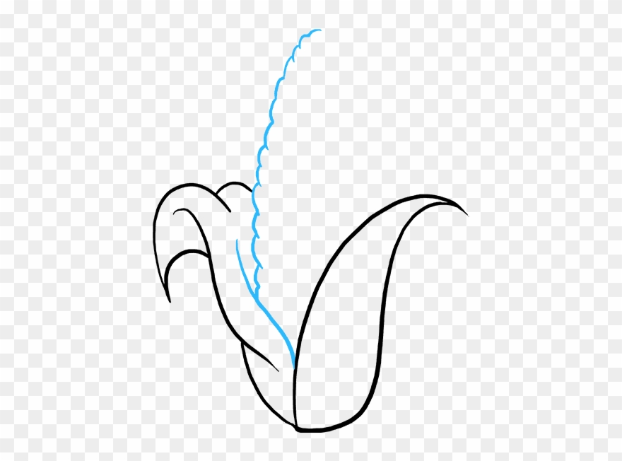 How To Draw Corn Cob - Draw A Corn On The Cob Clipart