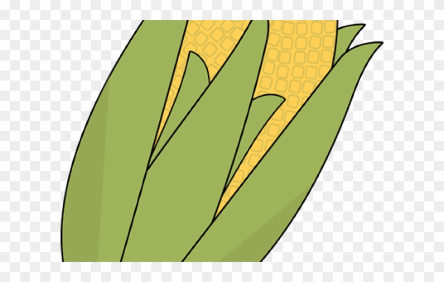 Ear Of Corn Clipart - Png Download