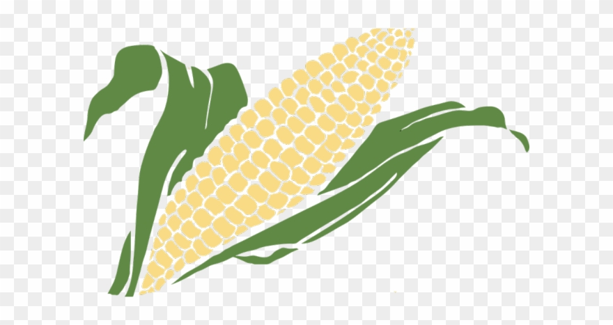 Grain Clipart Corn Grain - Maiz Vector Png Transparent Png