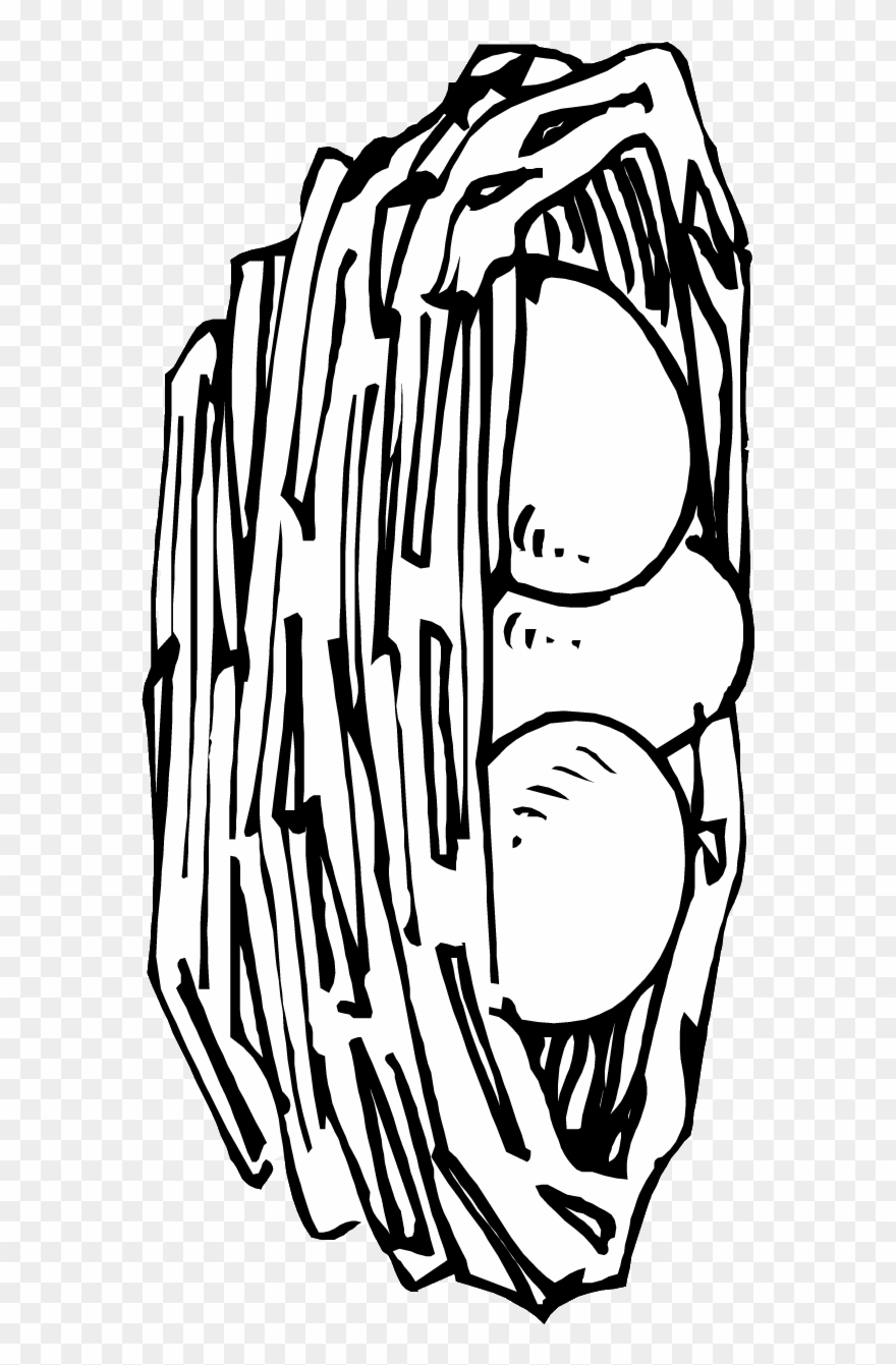 Eggs In Nest Coloring Page Printable Spring Coloring - Coloring Book Clipart