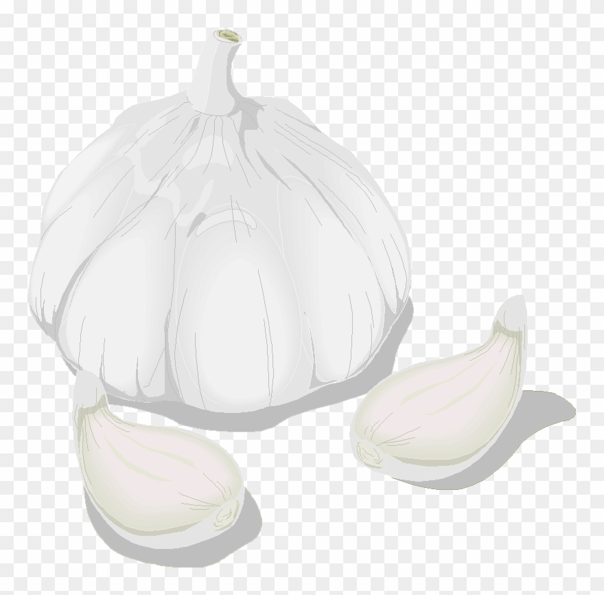 Aile - Garlic Clipart