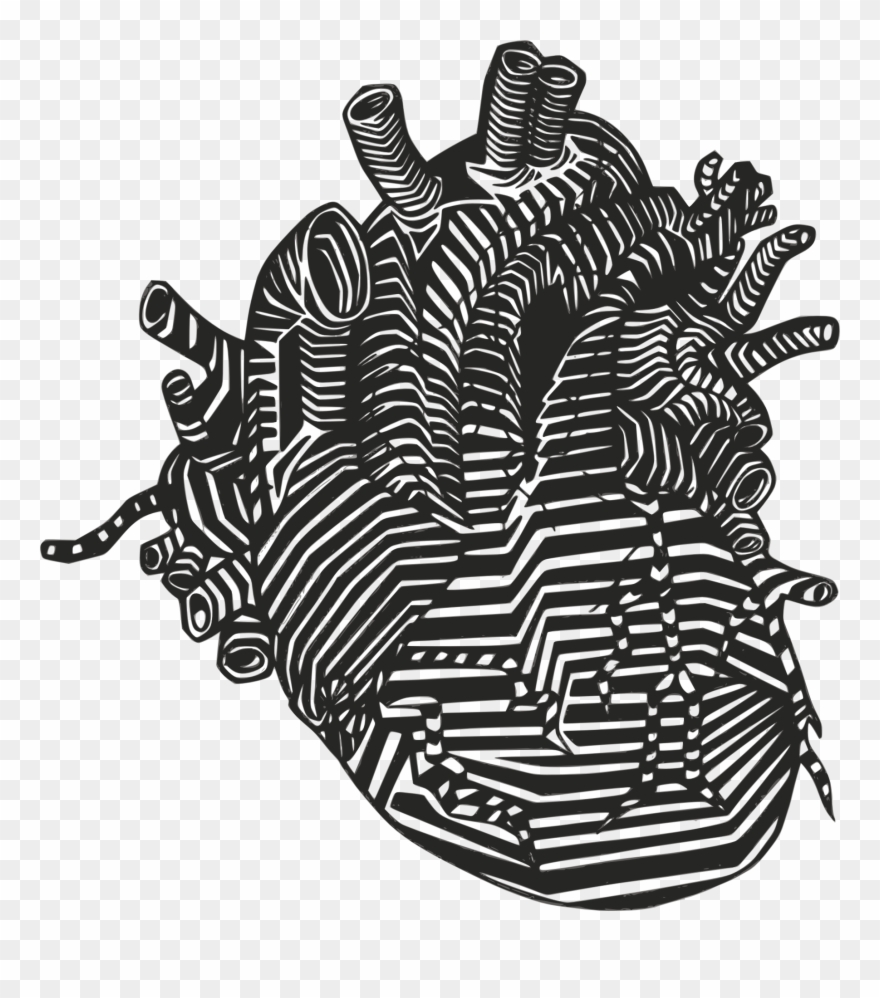 The Tell-tale Heart - Anatomical Heart Drawing Clipart