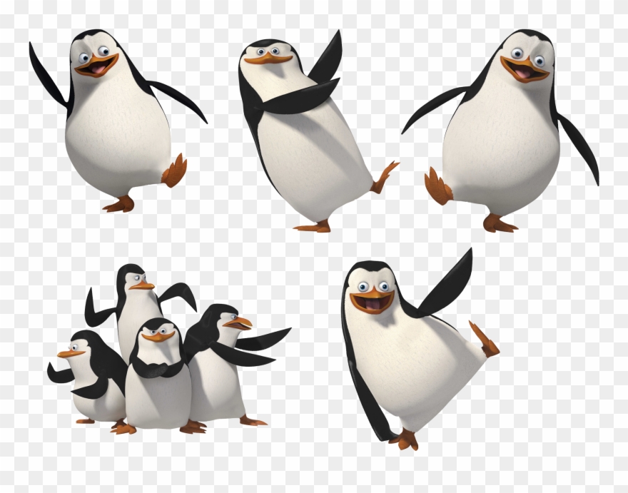 6374e3f9221a Madagascar, Penguins, Clip Art, Image - Png Download